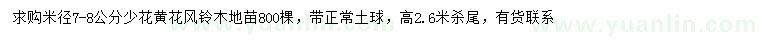 求購米徑7-8公分少花黃花風(fēng)鈴木