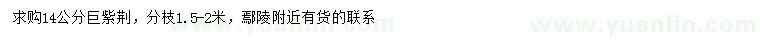 求購14公分巨紫荊