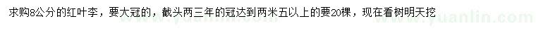 求購8公分紅葉李
