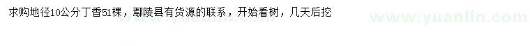 求購地徑10公分丁香