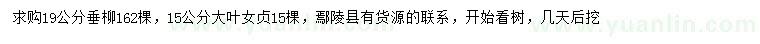 求購19公分垂柳、15公分大葉女貞