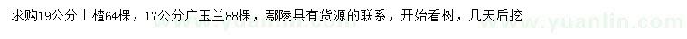 求購(gòu)19公分山楂、17公分廣玉蘭