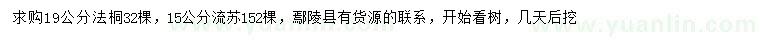 求購19公分法桐、15公分流蘇