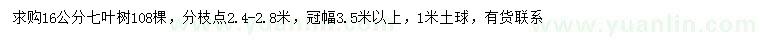 求購16公分七葉樹