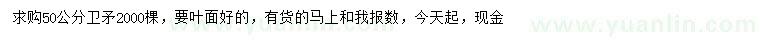 求購50公分衛(wèi)矛