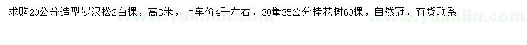 求購(gòu)20公分造型羅漢松、30量35公分桂花