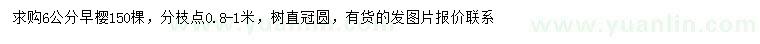 求購6公分早櫻