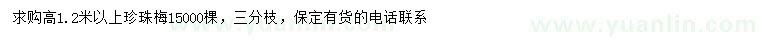 求購(gòu)高1.2米以上珍珠梅