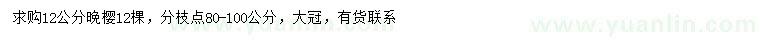 求購12公分晚櫻