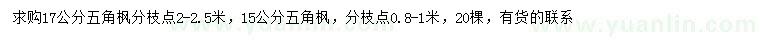 求購(gòu)15、17公分五角楓