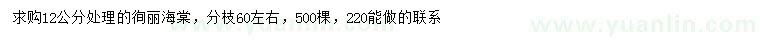 求購12公分徇麗海棠