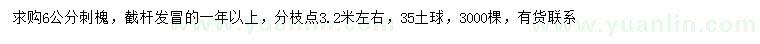 求購6公分刺槐