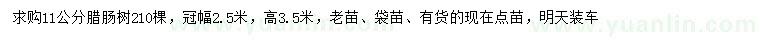 求購11公分臘腸樹