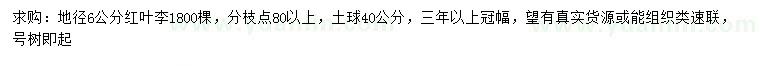 求購(gòu)地徑6公分紅葉李