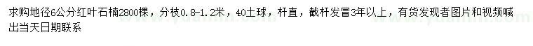 求購地徑6公分紅葉石楠