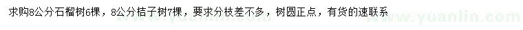 求購8公分石榴樹、桔子樹