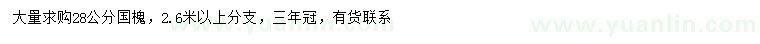 求購28公分國槐