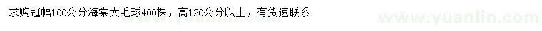 求購冠幅100公分海棠球