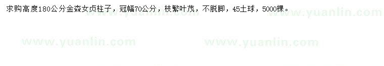 求購高180公分金森女貞柱