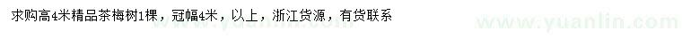 求購高4米茶梅
