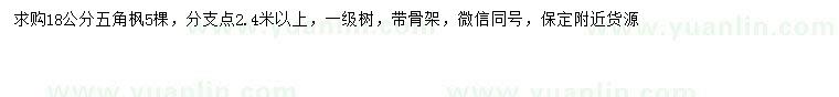 求購18公分五角楓