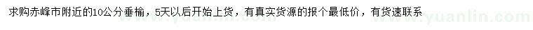 求購10公分垂榆