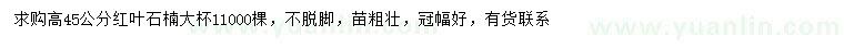 求購高45公分紅葉石楠