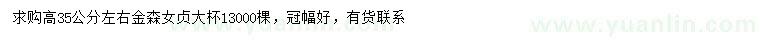 求購高35公分左右金森女貞