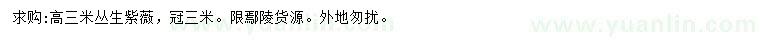 求購(gòu)高3米叢生紫薇