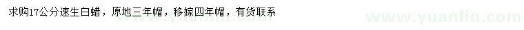 求購17公分速生白蠟