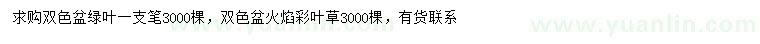 求購(gòu)綠葉一支筆、火焰彩葉草