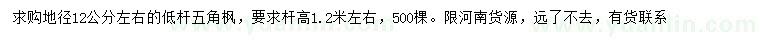 求購地徑12公分左右五角楓