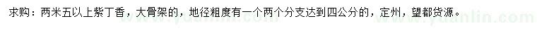 求購2.5米以上紫丁香