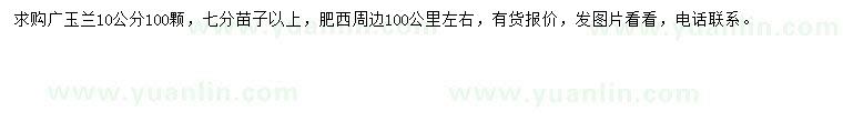 求購10公分廣玉蘭
