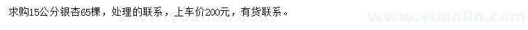 求購15公分銀杏