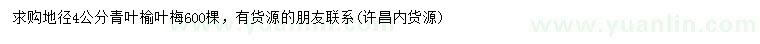 求購(gòu)地徑4公分榆葉梅