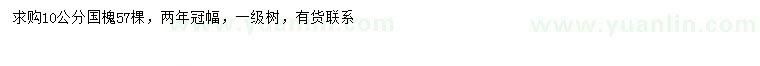 求購10公分國槐
