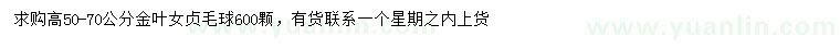 求購高50-70公分金葉女貞球