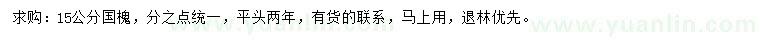 求購15公分國槐