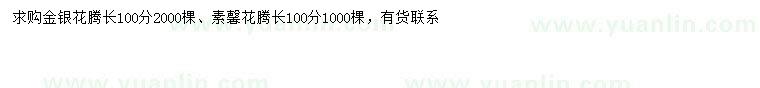求購100公分金銀花、素馨花