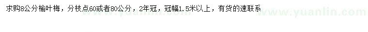 求購8公分榆葉梅