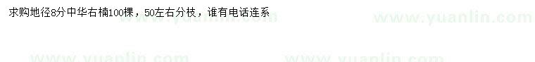 求購地徑8分中華石楠