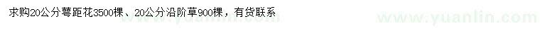 求購20公分萼距花、沿階草