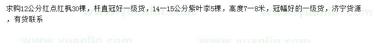 求購12公分紅楓、14-15公分紫葉李