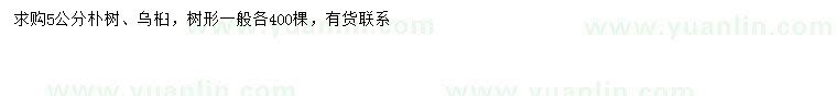 求購5公分樸樹(shù)、烏桕