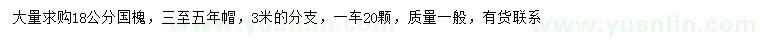 求購18公分國槐