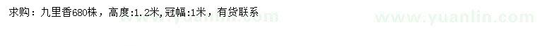 求購高1.2米九里香