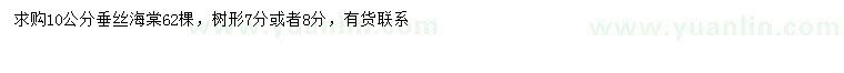 求購10公分垂絲海棠