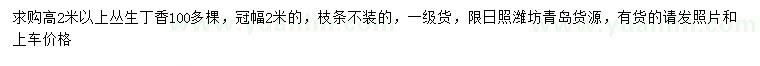 求購高2米以上叢生丁香