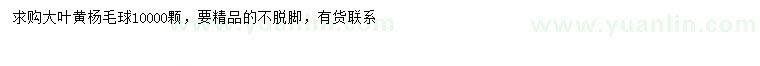 求購(gòu)大葉黃楊球